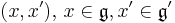 \mathfrak{}(x,x'), \,x\in\mathfrak{g}, x'\in\mathfrak{g'}