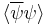 \langle\overline\psi\psi\rangle