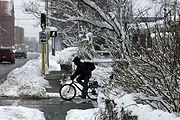 Trees and lawns covered in smow, cyclist stopped at a street light