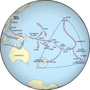 One set of arrows point from Taiwan to Melanesia to Fiji/Samoa and then to the Marquesas Islands. The population then spread, some going south to New Zealand and others going north to Hawai'i. A second set start in southern Asia and end in Melanesia.