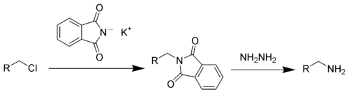 The Gabriel synthesis