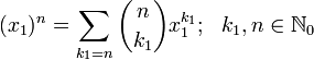 (x_{1})^{n}=\sum _{{k_{1}=n}}{n \choose k_{1}}x_{1}^{{k_{1}}};\ \ k_{1},n\in {\mathbb  {N}}_{0}