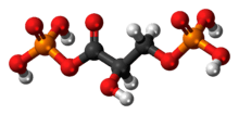 1,3-Bisphosphoglyceric acid molecule