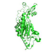 Ribbon diagram of the 1ZTB structure.