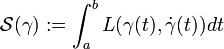 {\mathcal  S}(\gamma ):=\int _{a}^{b}L(\gamma (t),{\dot  \gamma }(t))dt