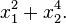 x_{1}^{2}+x_{2}^{4}.