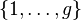 \displaystyle \left\{1,\dots ,g\right\}