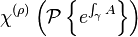 \chi ^{{(\rho )}}\left({\mathcal  {P}}\left\{e^{{\int _{\gamma }A}}\right\}\right)