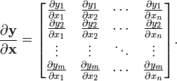 {\frac  {\partial {\mathbf  {y}}}{\partial {\mathbf  {x}}}}={\begin{bmatrix}{\frac  {\partial y_{1}}{\partial x_{1}}}&{\frac  {\partial y_{1}}{\partial x_{2}}}&\cdots &{\frac  {\partial y_{1}}{\partial x_{n}}}\\{\frac  {\partial y_{2}}{\partial x_{1}}}&{\frac  {\partial y_{2}}{\partial x_{2}}}&\cdots &{\frac  {\partial y_{2}}{\partial x_{n}}}\\\vdots &\vdots &\ddots &\vdots \\{\frac  {\partial y_{m}}{\partial x_{1}}}&{\frac  {\partial y_{m}}{\partial x_{2}}}&\cdots &{\frac  {\partial y_{m}}{\partial x_{n}}}\\\end{bmatrix}}.