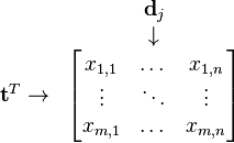 {\begin{matrix}&{\textbf  {d}}_{j}\\&\downarrow \\{\textbf  {t}}^{T}\rightarrow &{\begin{bmatrix}x_{{1,1}}&\dots &x_{{1,n}}\\\vdots &\ddots &\vdots \\x_{{m,1}}&\dots &x_{{m,n}}\\\end{bmatrix}}\end{matrix}}