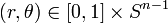 \left(r,\theta \right)\in \left[0,1\right]\times S^{{n-1}}