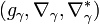 (g_{\gamma },\nabla _{\gamma },\nabla _{\gamma }^{*})