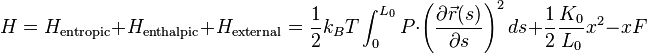 H=H_{{{\rm {entropic}}}}+H_{{{\rm {enthalpic}}}}+H_{{{\rm {external}}}}={\frac  {1}{2}}k_{B}T\int _{{0}}^{{L_{0}}}P\cdot \left({\frac  {\partial {\vec  r}(s)}{\partial s}}\right)^{{2}}ds+{\frac  {1}{2}}{\frac  {K_{0}}{L_{0}}}x^{{2}}-xF