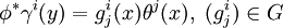 \phi ^{*}\gamma ^{i}(y)=g_{j}^{i}(x)\theta ^{j}(x),\ (g_{j}^{i})\in G