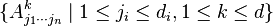 \{A_{{j_{1}\cdots j_{n}}}^{k}\mid 1\leq j_{i}\leq d_{i},1\leq k\leq d\}