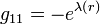 g_{{11}}=-e^{{\lambda (r)}}\;