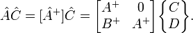 {\hat  {A}}{\hat  {C}}=[{\hat  {A}}^{+}]{\hat  {C}}={\begin{bmatrix}A^{+}&0\\B^{+}&A^{+}\end{bmatrix}}{\begin{Bmatrix}C\\D\end{Bmatrix}}.