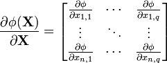 {\frac  {\partial {\mathbf  \phi }({\mathbf  X})}{\partial {\mathbf  {X}}}}={\begin{bmatrix}{\frac  {\partial {\mathbf  \phi }}{\partial x_{{1,1}}}}&\cdots &{\frac  {\partial {\mathbf  \phi }}{\partial x_{{1,q}}}}\\\vdots &\ddots &\vdots \\{\frac  {\partial {\mathbf  \phi }}{\partial x_{{n,1}}}}&\cdots &{\frac  {\partial {\mathbf  \phi }}{\partial x_{{n,q}}}}\\\end{bmatrix}}