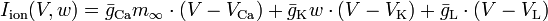 I_{{\mathrm  {ion}}}(V,w)={\bar  {g}}_{{\mathrm  {Ca}}}m_{{\infty }}\cdot (V-V_{{\mathrm  {Ca}}})+{\bar  {g}}_{{\mathrm  {K}}}w\cdot (V-V_{{\mathrm  {K}}})+{\bar  {g}}_{{\mathrm  {L}}}\cdot (V-V_{{\mathrm  {L}}})