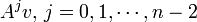 A^{j}v,\,j=0,1,\cdots ,n-2