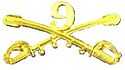 A computer generated reproduction of the insignia of the Union Army 9th Regiment cavalry branch. The insignia is displayed in gold and consists of two sheafed swords crossing over each other at a 45 degree angle pointing upwards with a Roman numeral 9