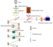 Diagram of the AOSLO setup