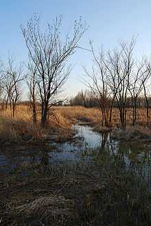 Wetlands