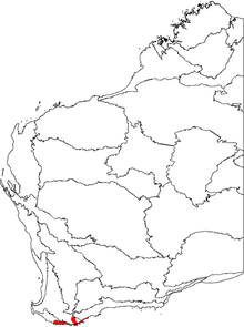 A map of western Australia with two small red patches on the southern coastline.