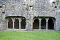 Bective Abbey 03.jpg