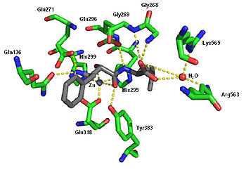 Crystal structure of Bestatin.