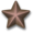 Bronze star