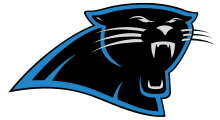 A stylized version of a Panther head, mainly colored black but with blue featured along the sides of the logo.