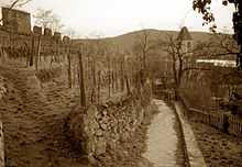 Vineyards cover the steep mountainsides; the walls of a ruined castle rise above the vineyards and a narrow path leads to a small village.