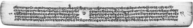 Sample of Kamrupi