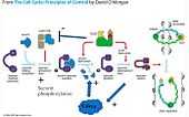 network diagram