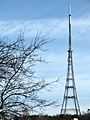 Crystal Palace Transmitter seen from Norwood Park.JPG