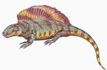 Ctenospondylus2DB2.jpg