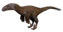 Feathered dinosaur with large head, claws and rudimentary wings