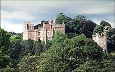 Upper sections of castle walls and towers showing above trees.