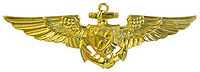 U.S. Naval Astronaut Badge