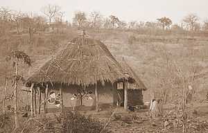 Homestead Magomana.jpg