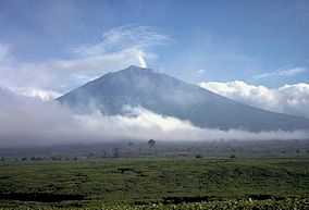 A photograph depicting a blue sky with white clouds at the top, a grey mountain range in the middle, and green foliage at the bottom.