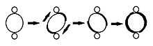 Illustration of kinetoplast rotating during minicircle replication.