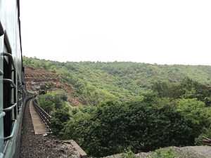 Konkan Railway 504.JPG