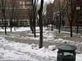 MetroTechCommons-snow.JPG