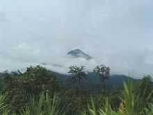 Mount Cameroon emerges through the clouds in the background, while the foreground depicts dense rainforest