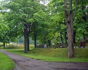 Mt. Albion Cemetery