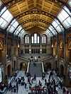 Natural History Museum central hall