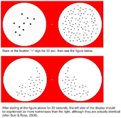 Two figures, one above the other. First figure (up) display contain two circles: 10 dots in the circle at left and 100 dots in the circle at right. Fixation mark is placed between two circles. The second figure display contain two circles with each of them contain 40 dots. The dots in the left circle are arranged as mirror image of the dots in the right circle