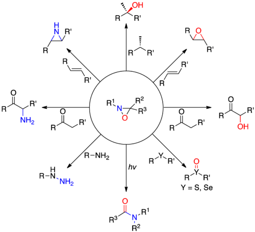 Oxaziridine Reactions